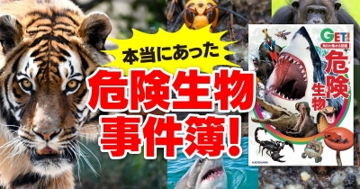 恐怖の殺人ザメ“ジャージーマンイーター”ほか「本当にあった危険生物事件簿！」第３回