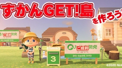 『あつ森』でずかんGET島をつくろう!! 第１回 無人島生活の第１歩